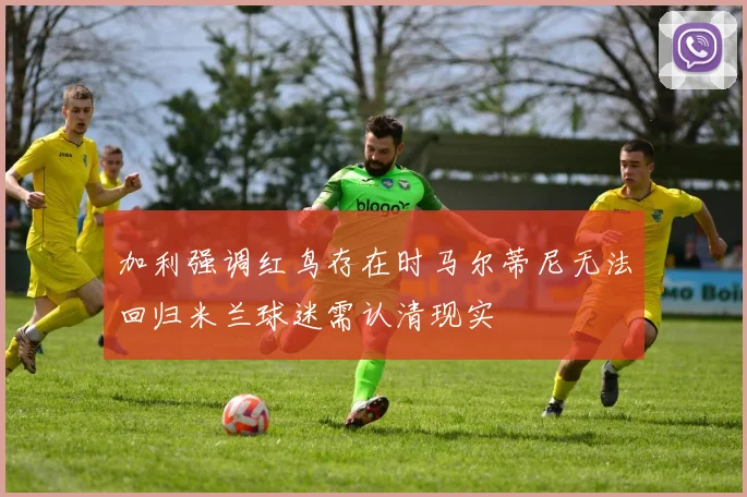 加利强调红鸟存在时马尔蒂尼无法回归米兰球迷需认清现实